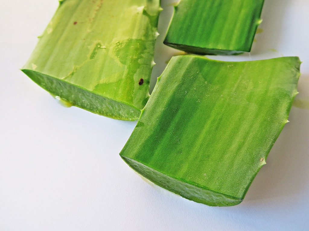 aloe-vera-2036626_1280